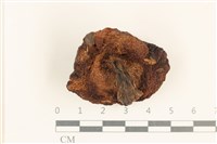 登錄號:F0037288藏品圖，第3張