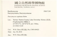 登錄號:F0037289藏品圖，第2張