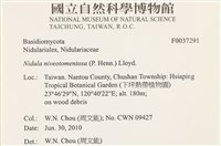 登錄號:F0037291藏品圖，第2張