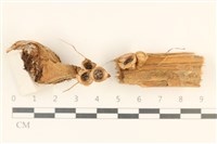 登錄號:F0037291藏品圖，第1張