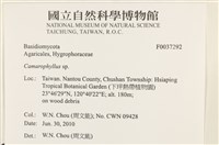 登錄號:F0037292藏品圖，第2張