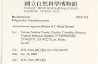 登錄號:F0037293藏品圖，第2張