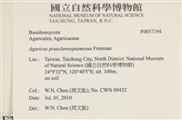 登錄號:F0037294藏品圖，第2張