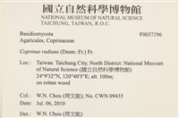 登錄號:F0037296藏品圖，第2張
