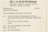 登錄號:F0037297藏品圖，第2張