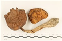 登錄號:F0037297藏品圖，第1張