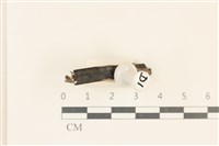 登錄號:F0037298藏品圖，第1張