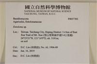 粉褶菌屬藏品圖，第2張