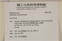 登錄號:F0037303藏品圖，第2張