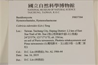 登錄號:F0037304藏品圖，第2張