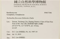 登錄號:F0037306藏品圖，第2張