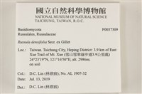 登錄號:F0037309藏品圖，第2張