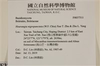 登錄號:F0037311藏品圖，第2張