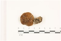 登錄號:F0037311藏品圖，第1張