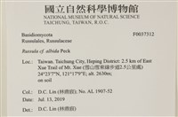 登錄號:F0037312藏品圖，第2張