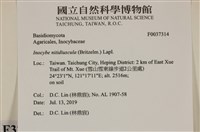 登錄號:F0037314藏品圖，第2張