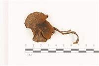 登錄號:F0037314藏品圖，第1張