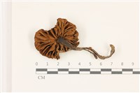 登錄號:F0037314藏品圖，第3張