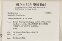 登錄號:F0037315藏品圖，第2張