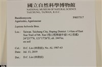 登錄號:F0037317藏品圖，第2張