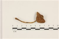 登錄號:F0037317藏品圖，第1張