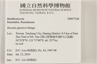 登錄號:F0037320藏品圖，第2張