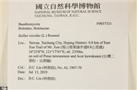 登錄號:F0037321藏品圖，第2張