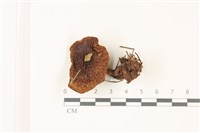 登錄號:F0037321藏品圖，第1張