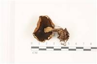 登錄號:F0037321藏品圖，第3張