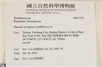 登錄號:F0037322藏品圖，第2張