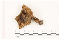 登錄號:F0037322藏品圖，第1張