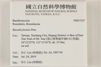登錄號:F0037327藏品圖，第2張