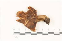 登錄號:F0037329藏品圖，第1張
