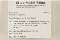 登錄號:F0037332藏品圖，第2張