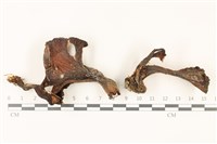 登錄號:F0037332藏品圖，第1張