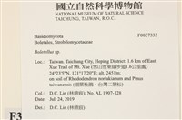 登錄號:F0037333藏品圖，第2張