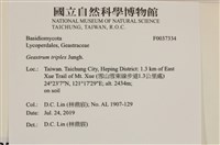登錄號:F0037334藏品圖，第2張