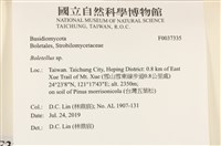 登錄號:F0037335藏品圖，第2張