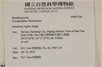 登錄號:F0037336藏品圖，第2張