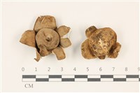 登錄號:F0037336藏品圖，第1張