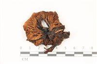 登錄號:F0037337藏品圖，第3張