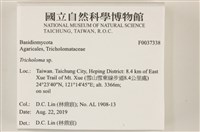 登錄號:F0037338藏品圖，第2張