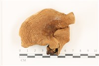 登錄號:F0037338藏品圖，第1張