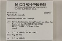 登錄號:F0037339藏品圖，第2張
