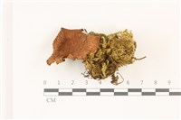 登錄號:F0037339藏品圖，第1張