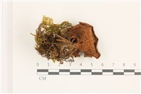 登錄號:F0037339藏品圖，第3張