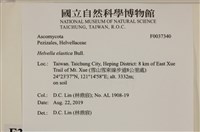 登錄號:F0037340藏品圖，第2張