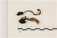 登錄號:F0037340藏品圖，第1張