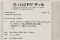 登錄號:F0037341藏品圖，第2張