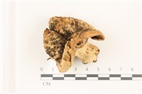 登錄號:F0037341藏品圖，第1張
